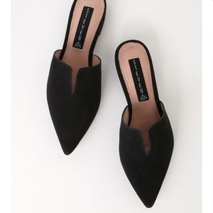 Steve Madden mules BRAND NEW
